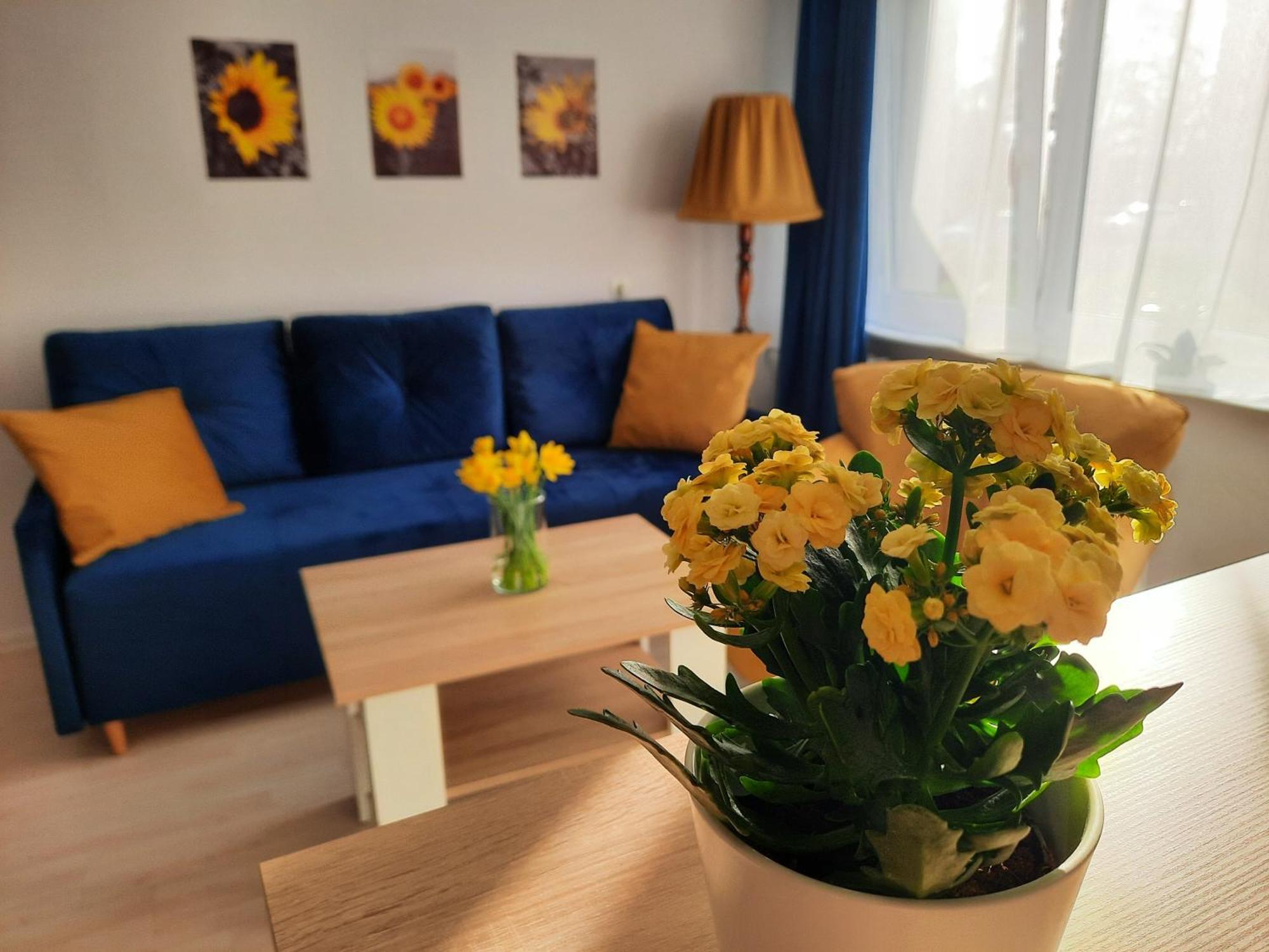 Apartment Baltycka Sardynka *